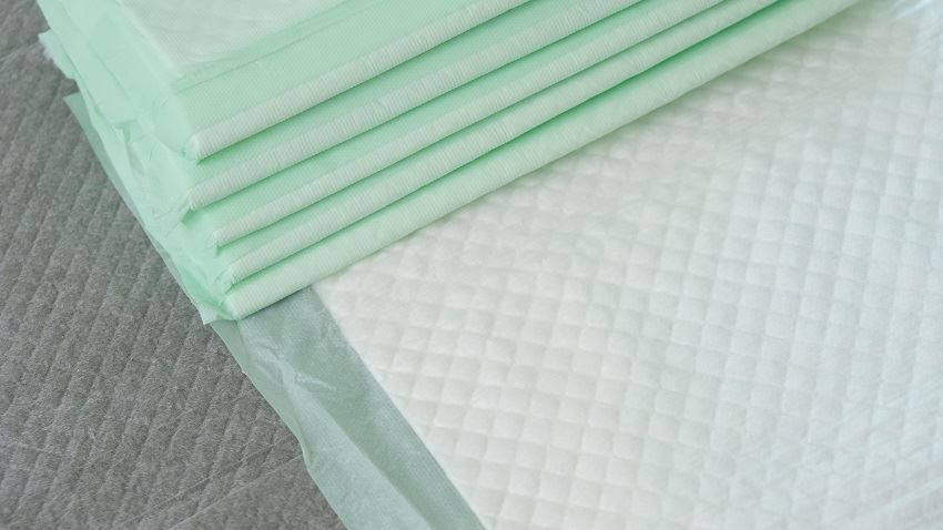 pee pads costco canada pee pads costco canada