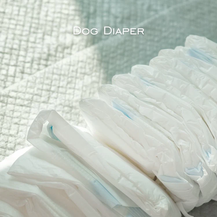 chinchilla chinchilla