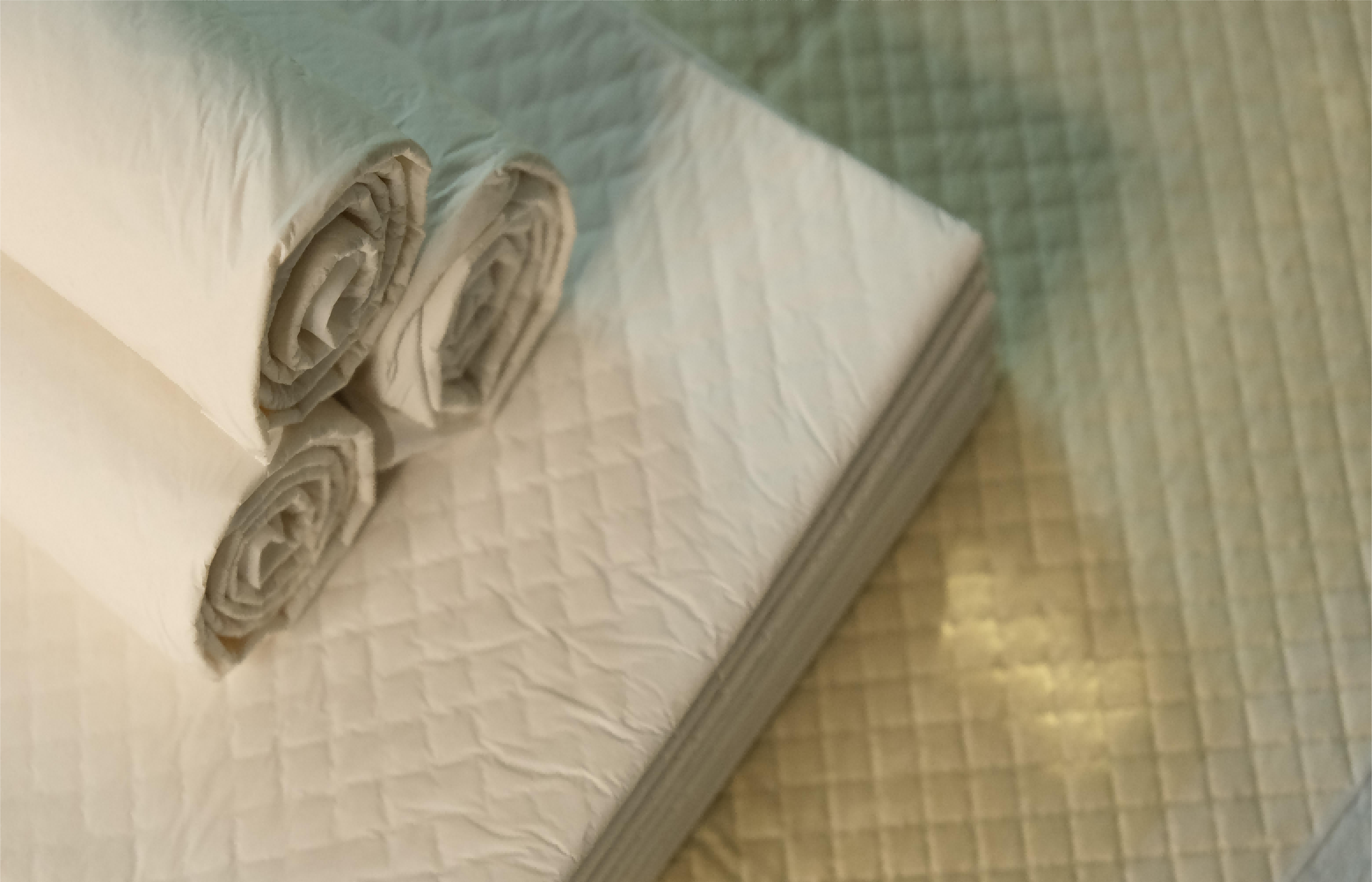  Essential Puppy Supplies