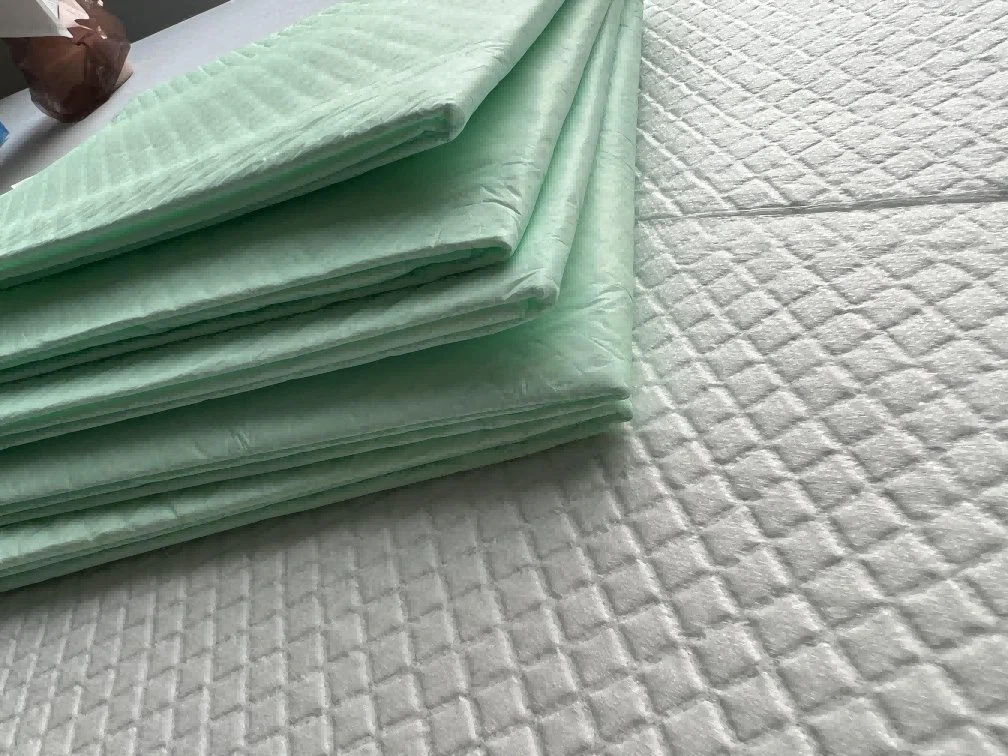 Maine Coon Cat Maine Coon Cat