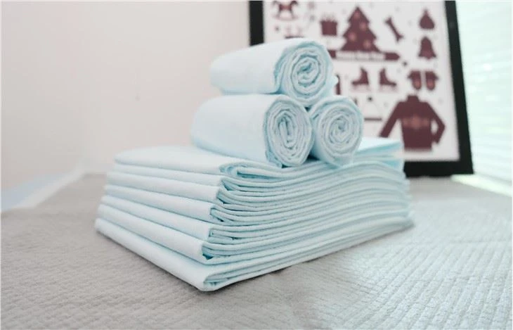 Pet Pad – Advanced Layer Protection 60X60Cm