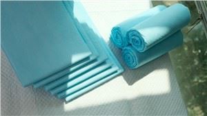 60cm*90cm Disposable Petpad