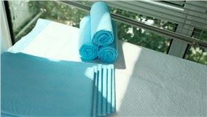 Pee Pads For Dogs Pet Training