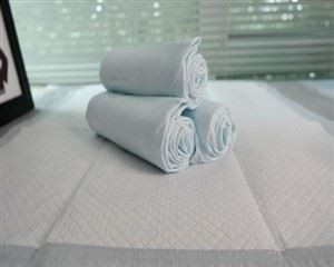 Toilet Training-Adhesive Leakproof Dog Pads