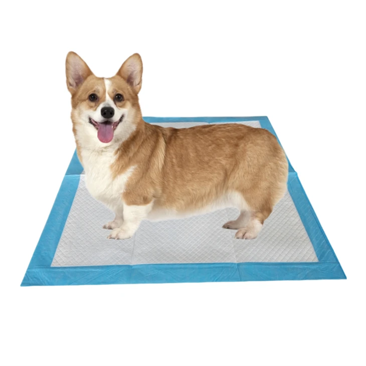 Antibacterial Deodorant Disposable Potty Pads