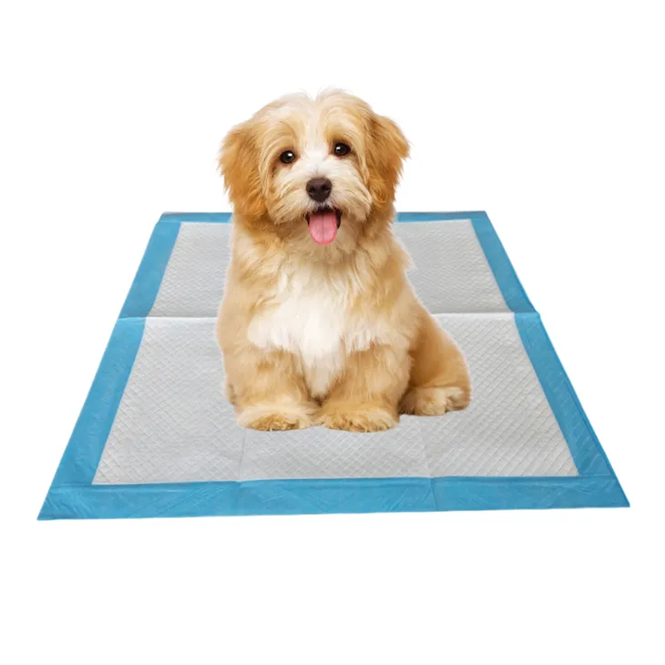 Antibacterial Deodorizing Disposable Potty Training Pads