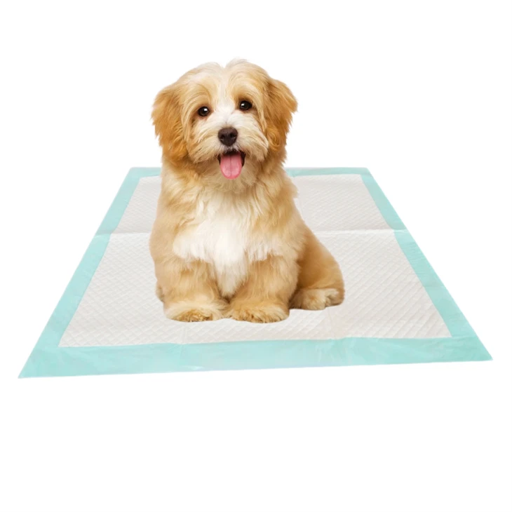 Antibacterial Disposable Pee Pads For Dogs