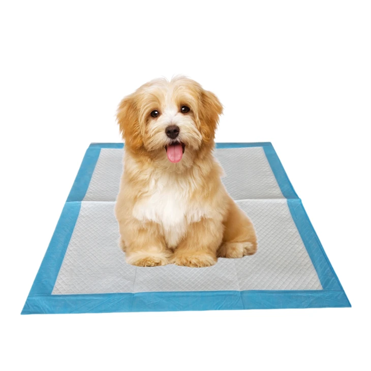 Antibacterial Odor Control Disposable Dog Pee Pads
