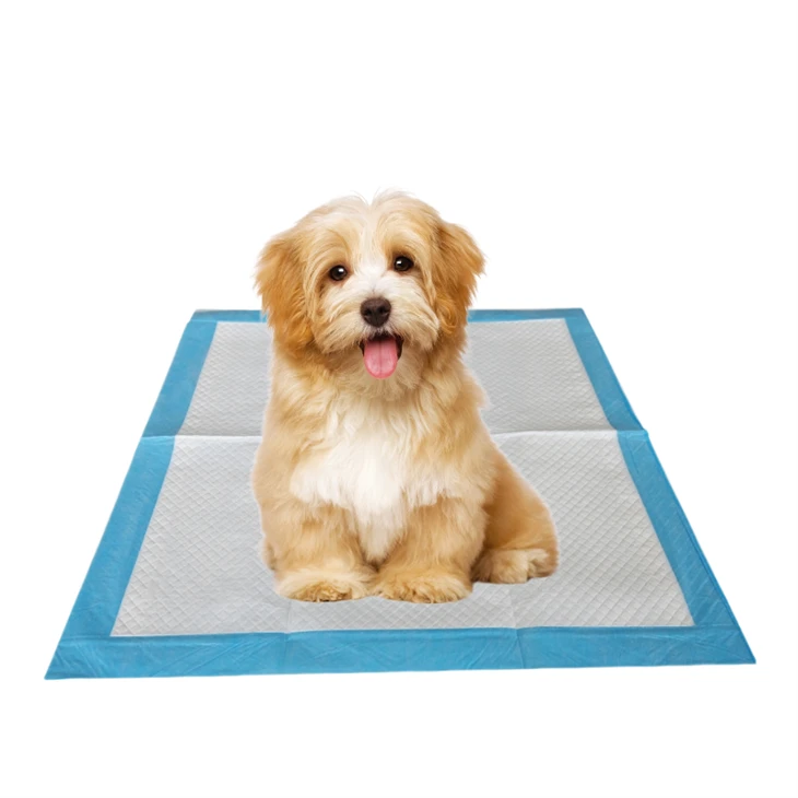 Antibacterial Remove Smell Disposable Pet Potty Pads