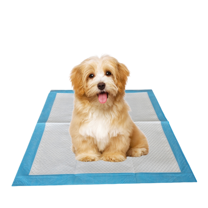 Chew-Resistant Super Absorbent Disposable Dog Pee Pads