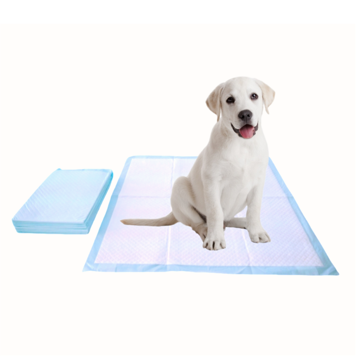 Chew-Resistant Super Absorbent Disposable Potty Training Pads