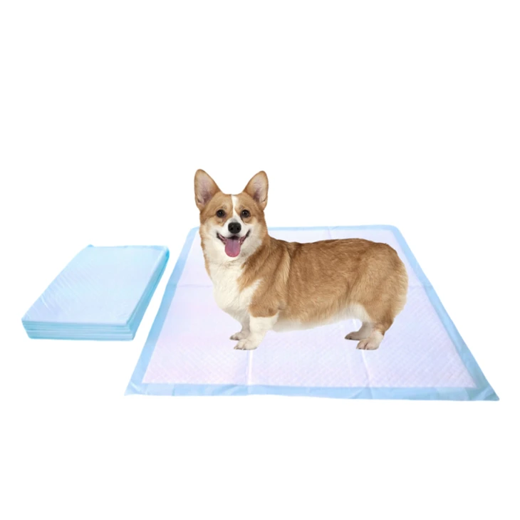 Disposable Anti-Chewing Dog Potty Pads