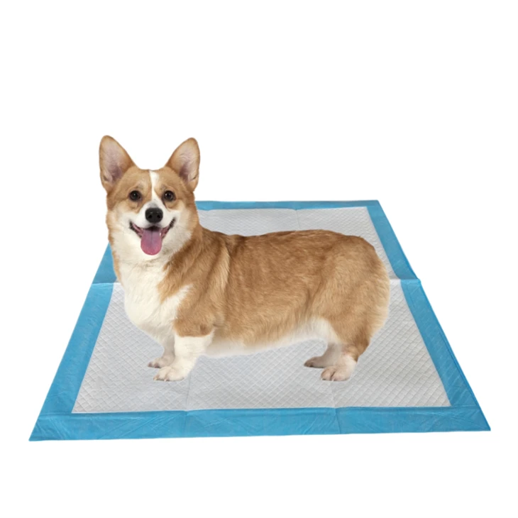 Disposable Antibacterial Remove Smell Pet Training Pads