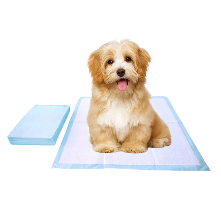 Disposable Chew-Resistant Pet Potty Training Pads