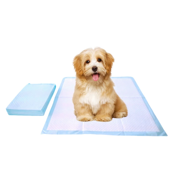 Disposable Chew-Resistant Potty Pads For Dogs
