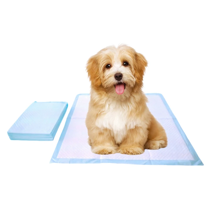 Disposable Chew-Resistant Toilet Pads For Dogs
