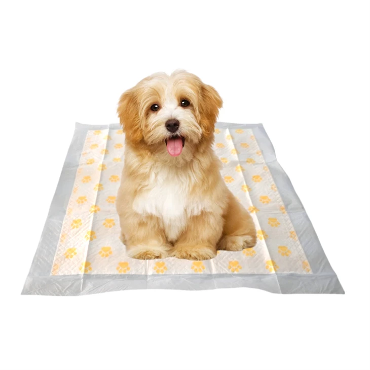 Disposable Health Monitoring Dog Pads