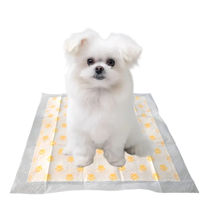 Disposable PH Test Health Monitoring Puppy Training Pads