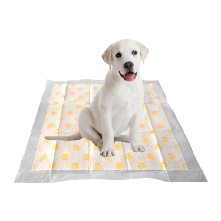 Disposable PH Test Puppy Training Pads