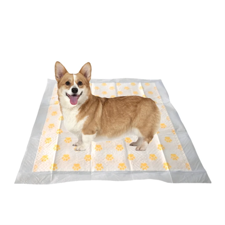 Health Monitoring Disposable PH Test Pee Pads For Dogs