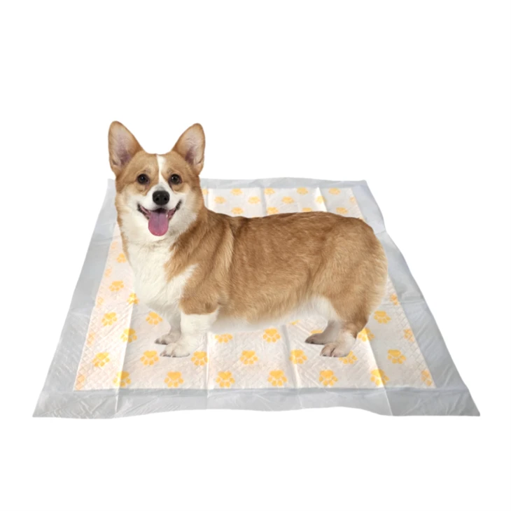 Health Monitoring Disposable PH Test Puppy Pads