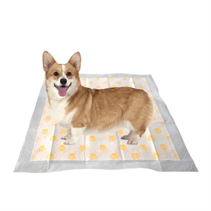 Health Monitoring PH Test Disposable Potty Training Pads