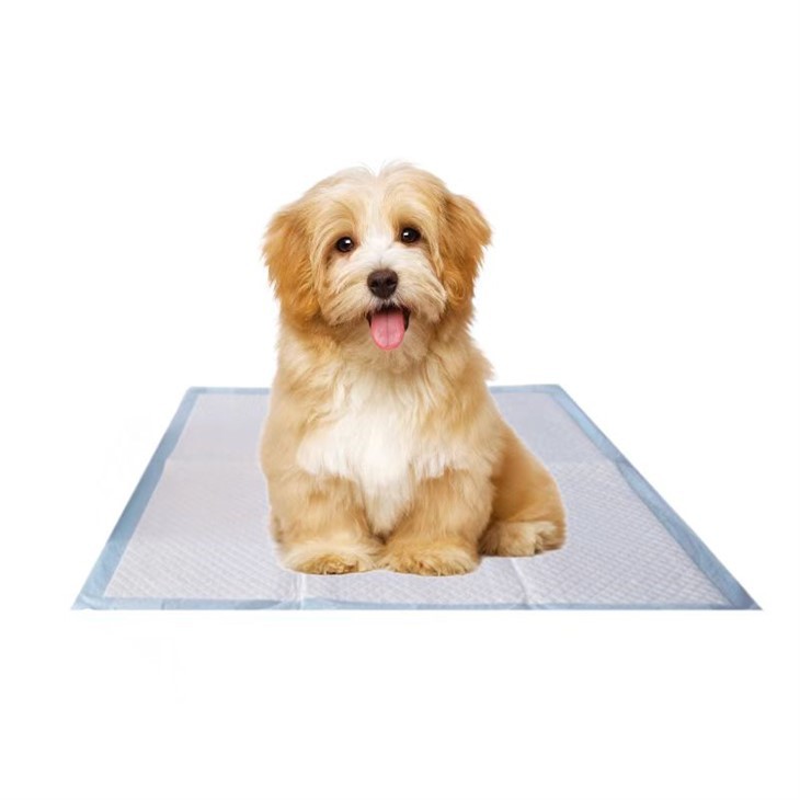 HUSHPET Microencapsulated Aromatic Puppy Pad