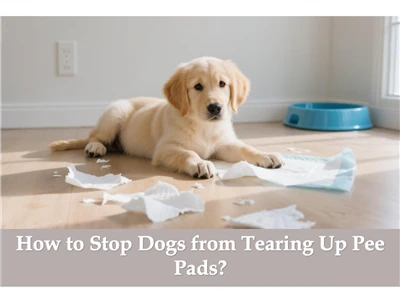 How to Stop Dogs from Tearing Up Pee Pads?