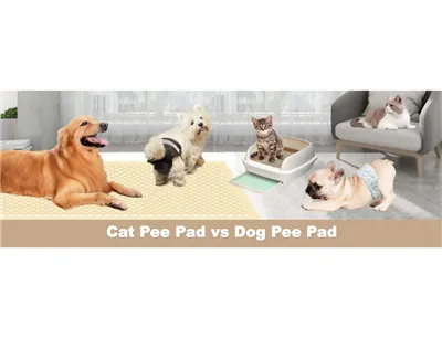 Cat Pee Pads vs Dog Pee Pads