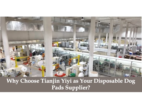 Why Choose Tianjin Yiyi as Your Dog Pee Pads Supplier?