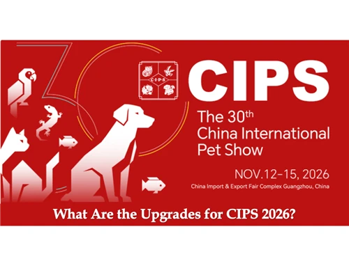 What Are The Upgrades For CIPS 2026?