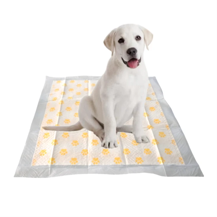 PH Test Health Monitoring Disposable Pet Pee Pads