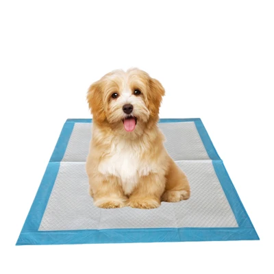 Antibacterial Disposable Pee Pads For Pets