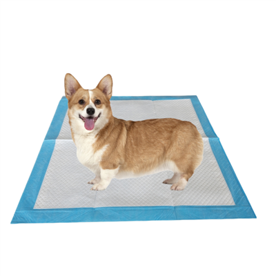 Antibacterial Disposable Potty Pads For Dogs