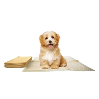 Bamboo Tissue Disposable Pee Pads For Dogs