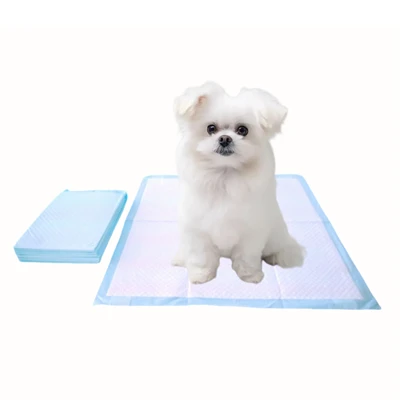 Chew-Resistant Disposable Dog Training Pads
