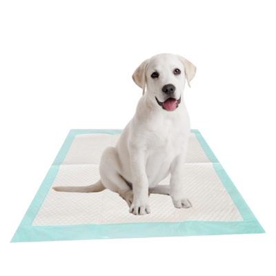 Disposable Antibacterial Absorbent Pads For Pets