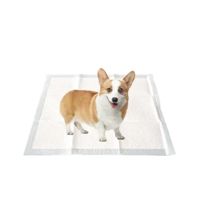 Disposable Dog Pads Made Of PCR Eco-Friendly Materials