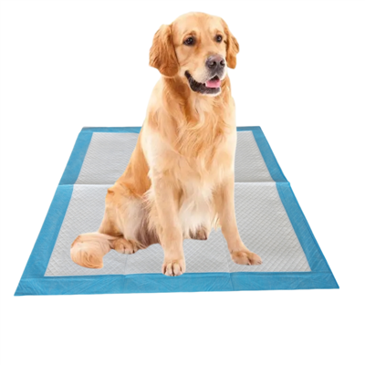 Disposable Dog Potty Pad With Vacuum Compression Technology