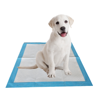 Disposable Dog Training Pads With Vacuum Compression Technology
