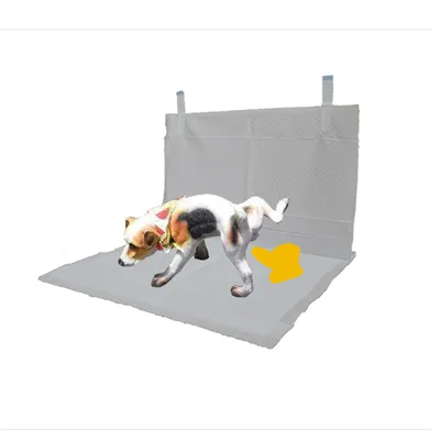 Disposable Male Dog Pads