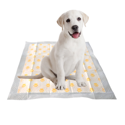 Disposable Pet Potty Pads With Health Monitoring Function