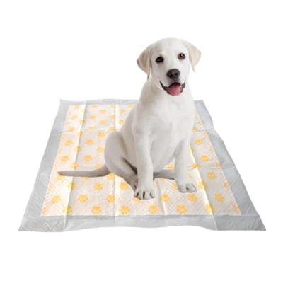 Health Monitoring PH Test Disposable Pet Potty Pads