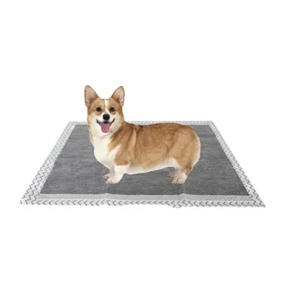 HUSHPET Disposable Carbon Dog Pad