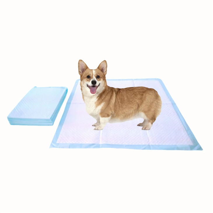 Vacuum-Compressed Disposable Dog Potty Pads