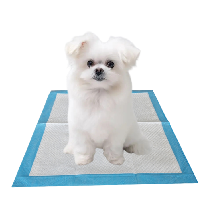 Vacuum Compressed Disposable Dog Training Pads