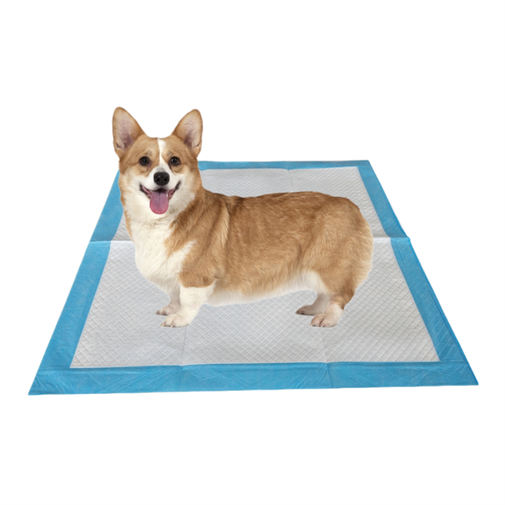 Vacuum Compression Process Super Absorbent Disposable Dog Potty Pad